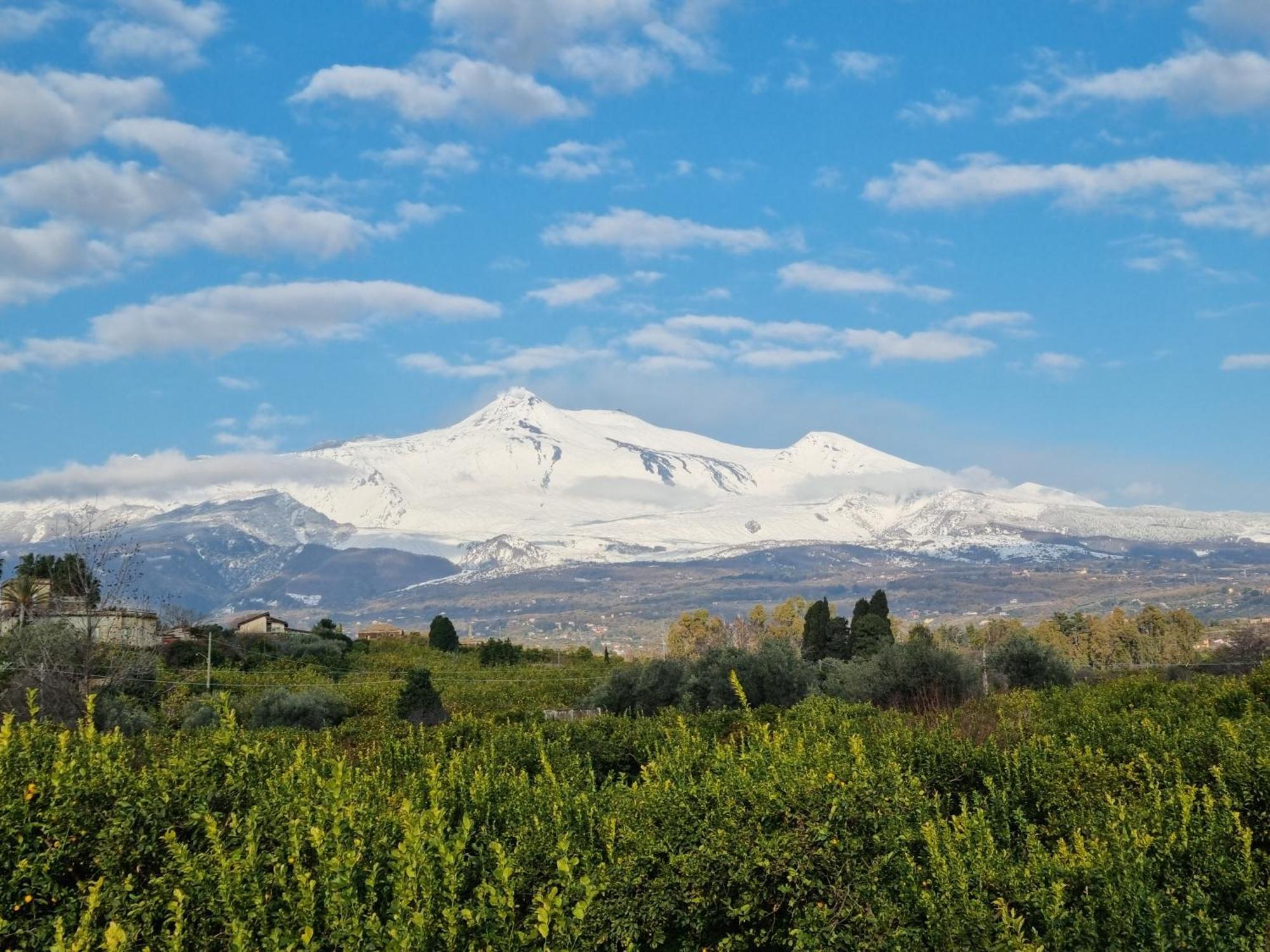 Luxury Historic Residence With Heated Pool Near Catania, Taormina, The Sea And Mount Etna Giarre Exterior foto
